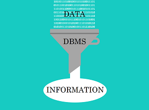 A funnel showing data processed by a DBMS coming out as information.